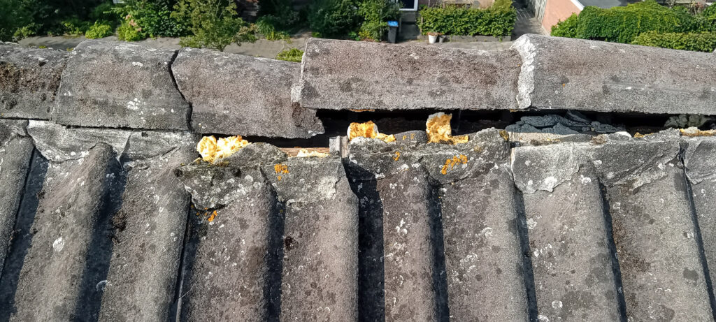 gouda1 Schoorsteen reparatie Nokvorst renovatie