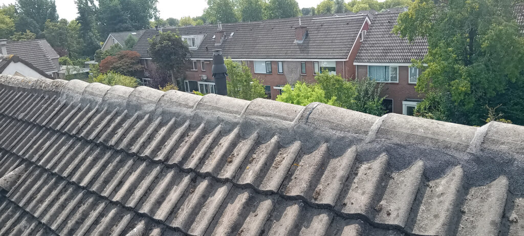 gouda3 Schoorsteen reparatie Nokvorst renovatie