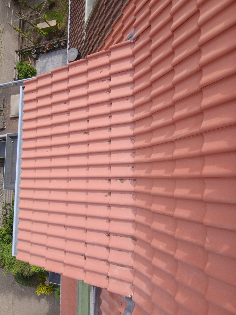 esdonkprojectnieuwegein7 Schoorsteen reparatie Nokvorst renovatie